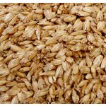 PRANA Basic Tönkölyhéj henger jógapárna 70x20 cm