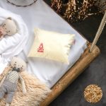 PRANA Premium Tönkölyhéj Párna 25x30 cm