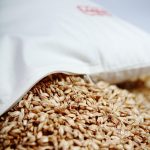 PRANA Premium Tönkölyhéj Párna 30x40 cm + levendula betét