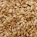 PRANA Premium Tönkölyhéj 50x70 cm