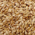 PRANA Basic Tönkölyhéj kerek meditációs jógapárna  36x12 cm