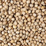 PRANA Meggymag melegítőpárna és hűtőpárna 25x30 cm  piros