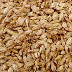 PRANA Premium Tönkölyhéj 40x80 cm 