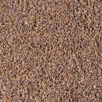 PRANA Premium Tönkölyhéj 40x80 cm + levendula betét