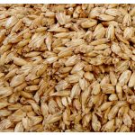 Grey Leaves  Tönkölyhéj henger jógapárna - PRANA Art Deco Collection 